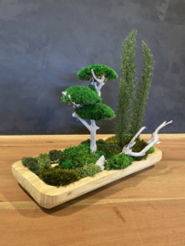 Naturel houten schaal (boompjes)