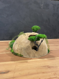 Decoratieve (halve) houten bol (1)