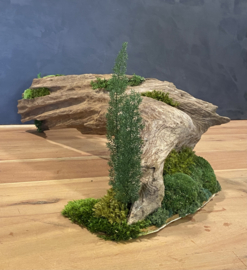 Boomstam tafel decoratie (2)