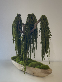 Mosboom - Amaranth Mosboom - Xl