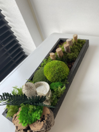 Mosschaal
