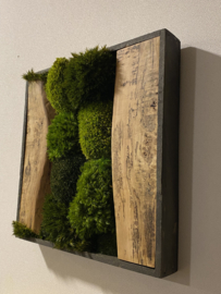 Mosschilderij / vierkant (6)