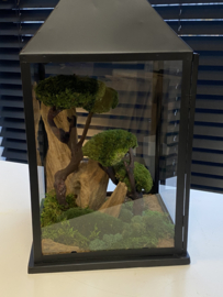 Windlicht met houten rots en bolmos boompjes
