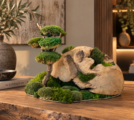 Decoratieve halve teak houten bol