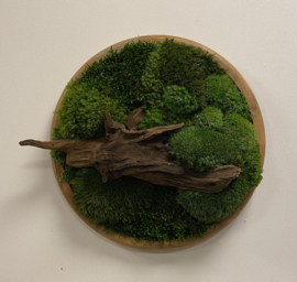 Mosschilderij rond (4)