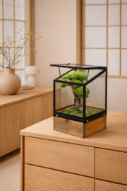 Mini windlicht met mosboompje (2)