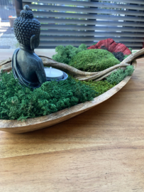 Ovale teakhouten mosschaal met Boeddha