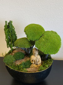 Boedha in Moss Forest