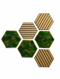 Mosschilderij - Hexagon set van drie