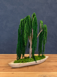Mosboom - Amaranth Mosboom - Xl