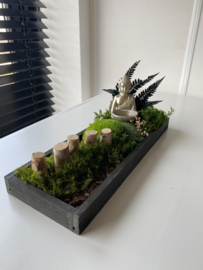 Mosschaal