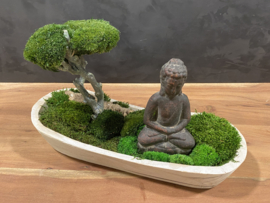 Boedha in a Mossforest
