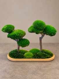 DIY Mosschaal met boompjes (1)