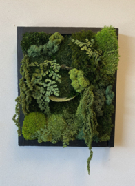 Mosschilderij - rechthoek (zwart)