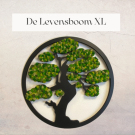 Mos schilderijen set van 3