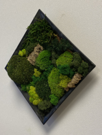 Mos schilderij / klein vierkant