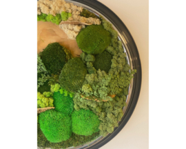 Mosschilderij ‘oude klok’