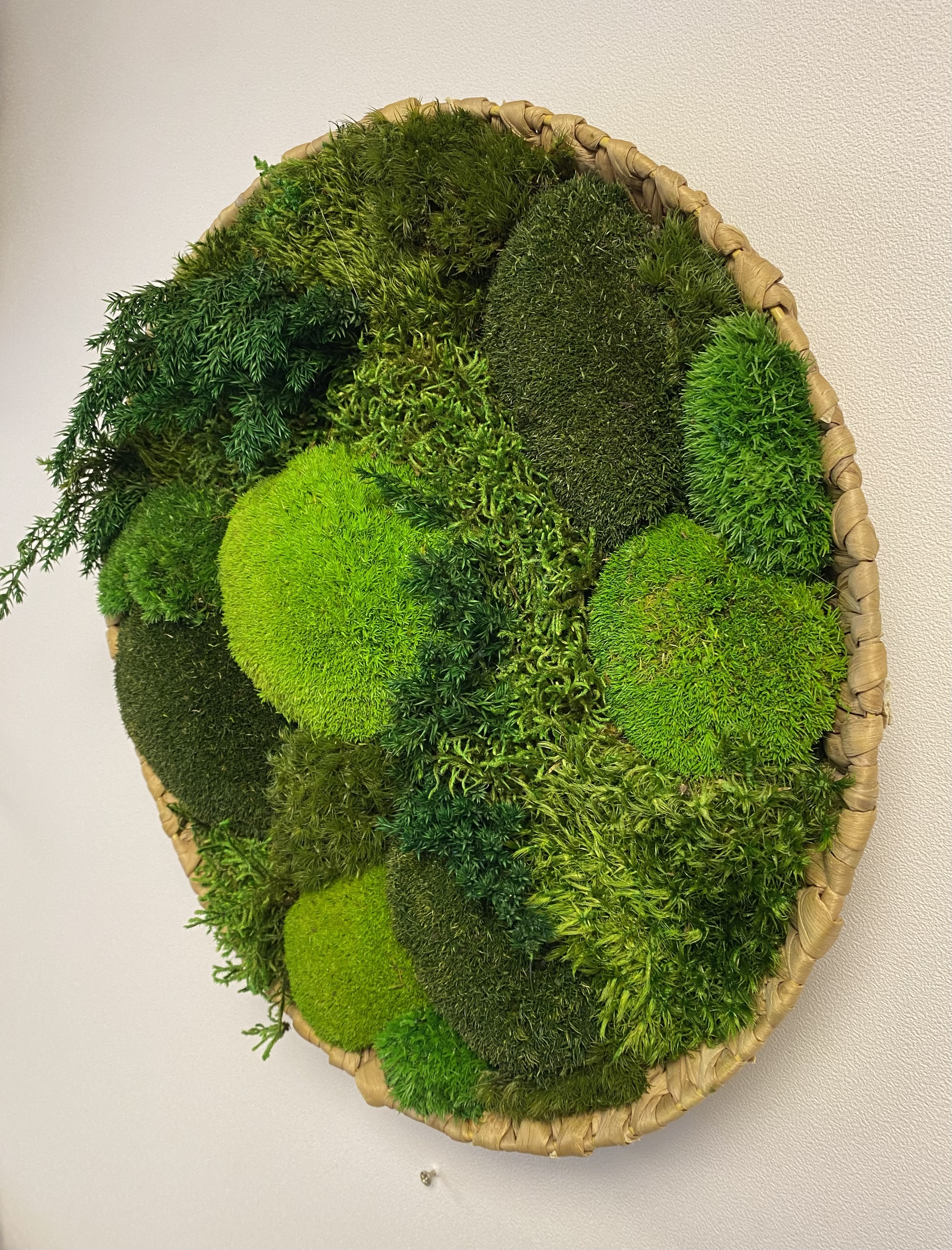 Mos schilderij/schaal  rond