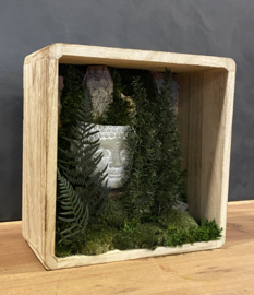 Moscreatie - Mos Forest Zen