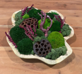 Mosschilderij/schaal