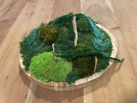 Mos schilderij (rond)