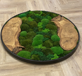 Super elegante rond mosschilderij