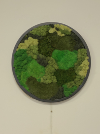 Mosschilderij / rond (60)