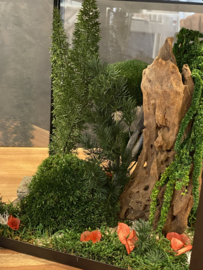 Windlicht met mini jungle