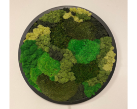 Mos schilderij rond (2)
