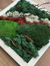 Klein mosschilderij met naturel houten lijst