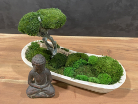 Boedha in a Mossforest
