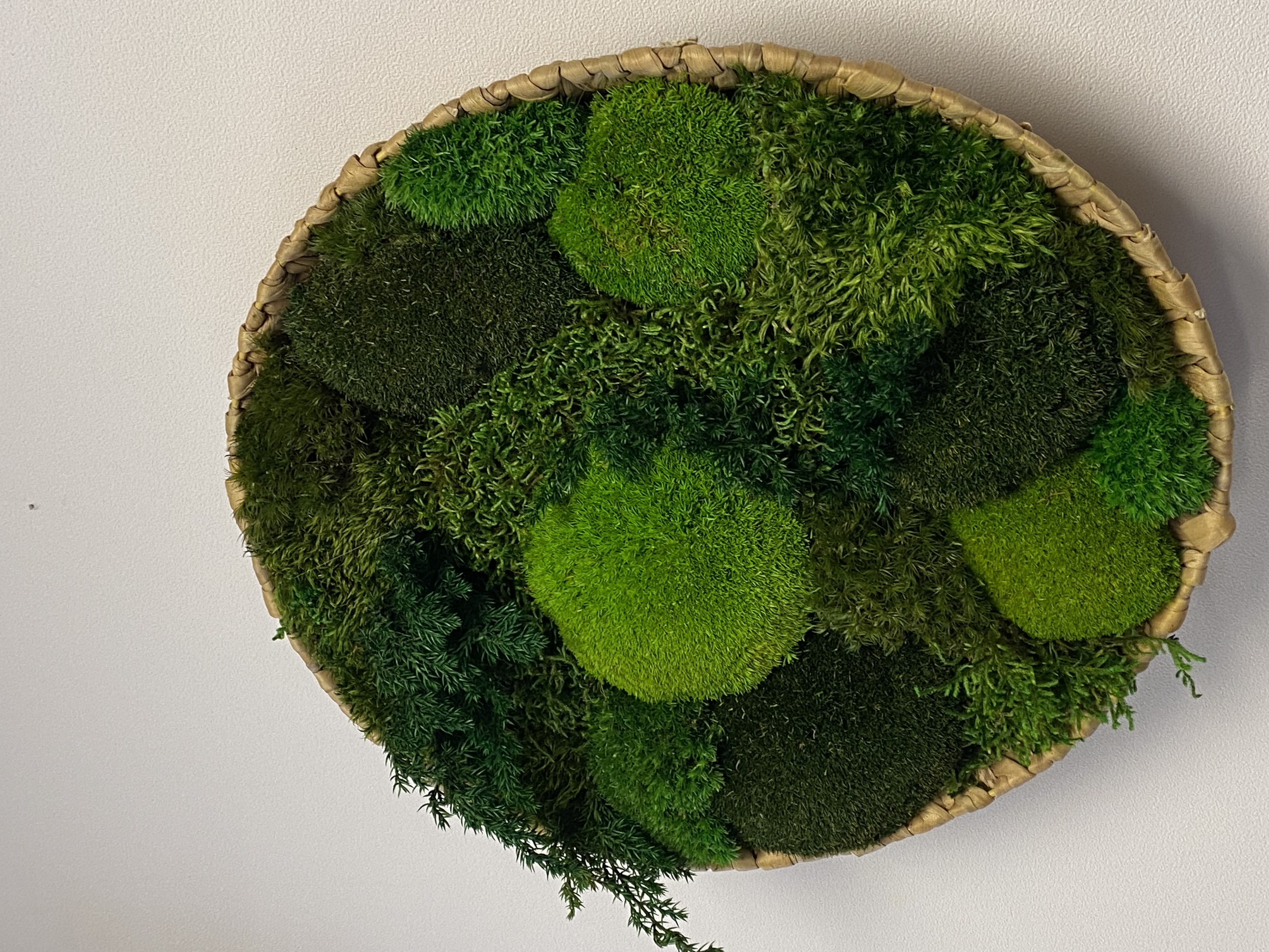 Mos schilderij/schaal  rond