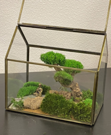 Mini landschap in glazen huisje