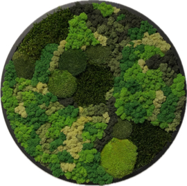 Mosschilderij / rond (50)