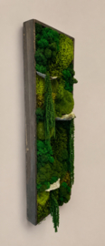 Mosschilderij - rechthoekig  (1C)
