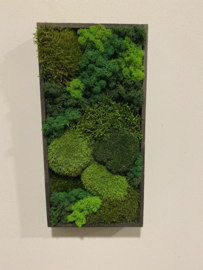 Mosschilderij rechthoekig (middel)