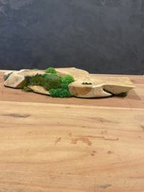Boomstam tafel decoratie (1)