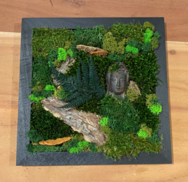 Mosschilderij / vierkant (6)