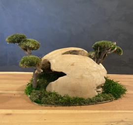 Teakhouten halve bol (1)