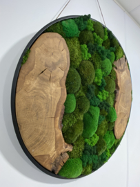 Super elegante rond mosschilderij