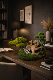 Decoratieve houten halve bol (1)