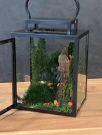 Windlicht met mini jungle
