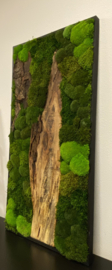 Nature mos schilderij met robuust hout