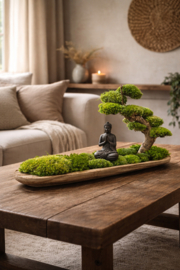 Naturel houten schaal met mosboompje (boedha)