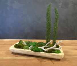 Naturel houten schaal (boompjes)