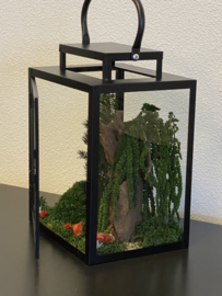 Windlicht met mini jungle