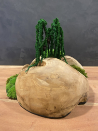 Decoratieve houten bol (1)