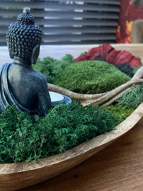 Ovale teakhouten mosschaal met Boeddha