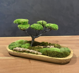 Naturel houten schaaltje met mosboompje (3)