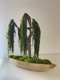 Mosboom - Amaranth Mosboom - Xl